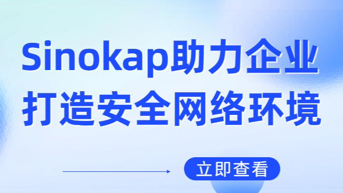 Creating a Secure Network Environment for Your Business - Sinokap